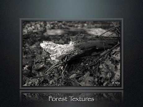 Forest Textures part5