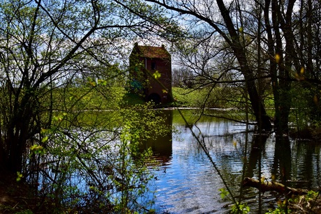 Het kleine huis bij het meer