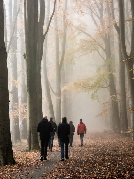 Wandelaars in de mist