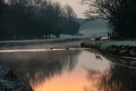 de oversteek wagen...