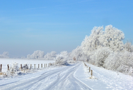 mooie wintermorgen