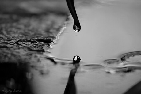 hangende druppel