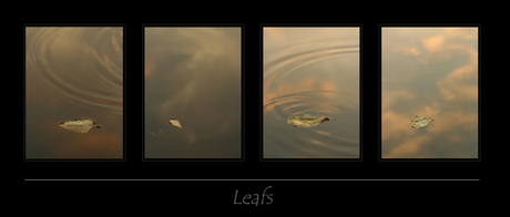 Leaf-serie compositie