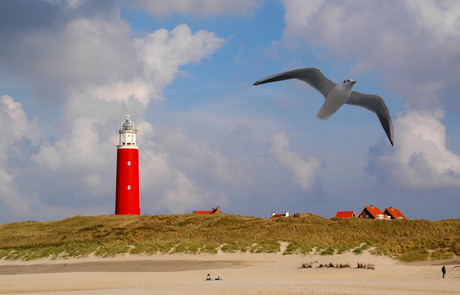 Cocksdorp, Texel