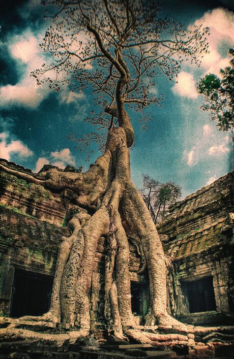 Angkor Thom - Cambodja