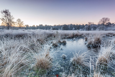 Eerste Winter