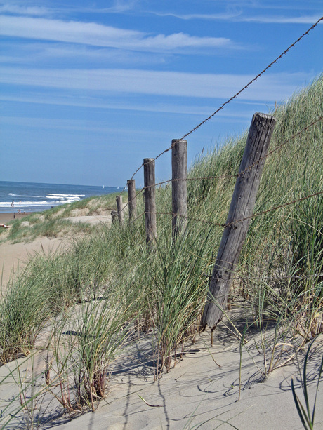 Lekker strand!