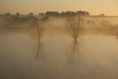 morning fog