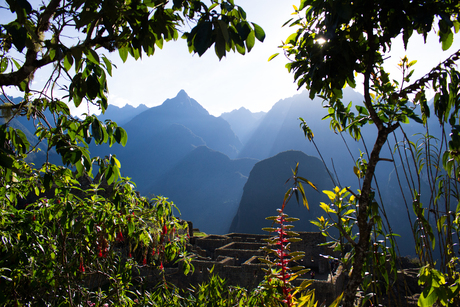 Het uitzicht op Machu Picchu
