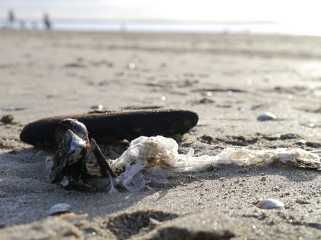 Strand Rockanje