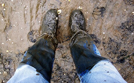 Wat is er leuk aan wadlopen???