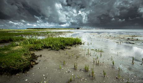 Waddenlicht...