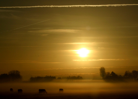 Nederland wordt wakker