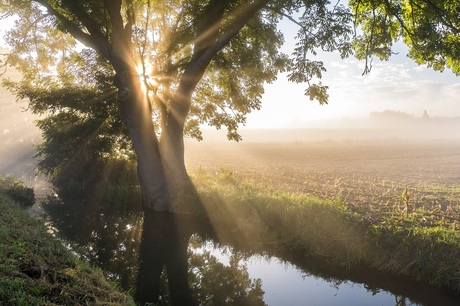 Misty country