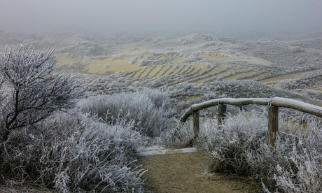 Winterduinlandschap.