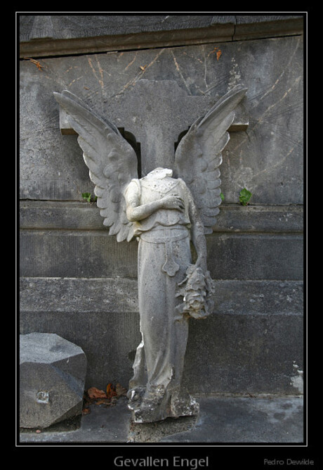 Gevallen Engel
