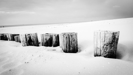 Rustgevend Ameland