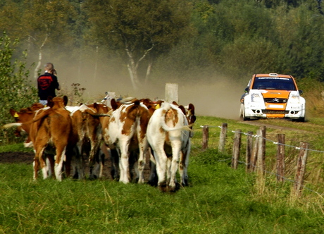 Hellendoornrally 2009