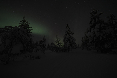 Noorderlicht Lapland 2015
