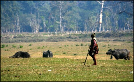 Agrarïer in Chitwan.