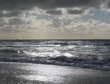 Zon Zee en Strand