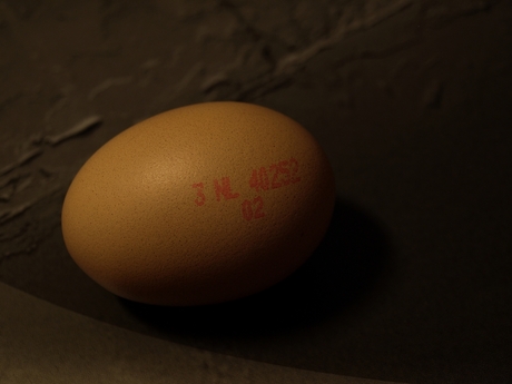 Just A Egg...