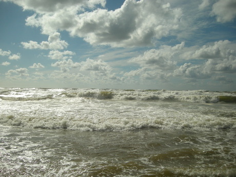 Noordzee 20-7-2008