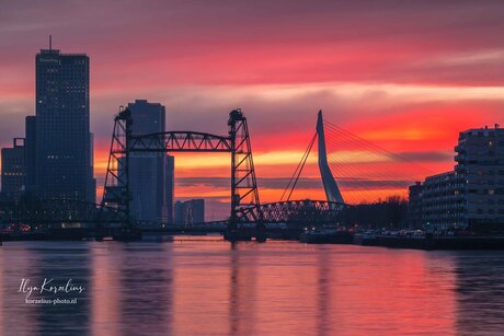 Magical sunset in Rotterdam