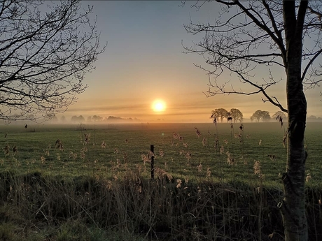 Zonnetje met mist