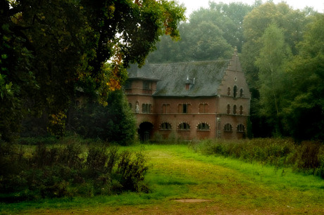 verscholen in het bos