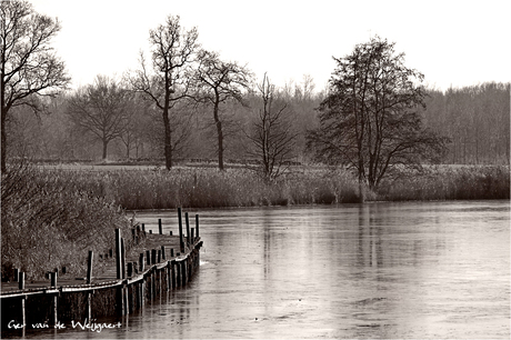 Steenbergsepolder in wintertijd