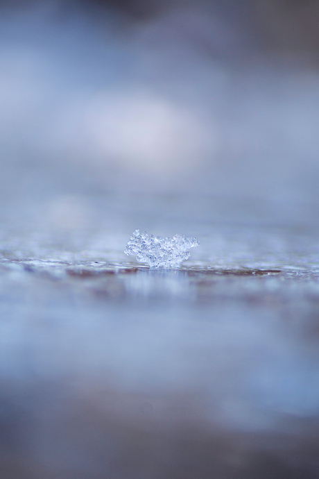 snowflake on ice