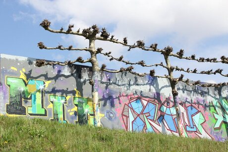 Graffiti Rijnkade Arnhem