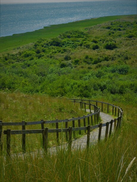 Ameland Augustus 2020
