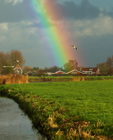 Vrijheid