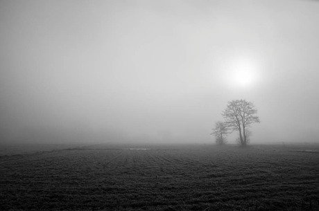 2015 Siriushoeve in de mist