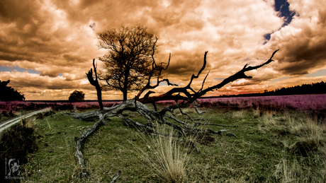 i gess this was heaven once