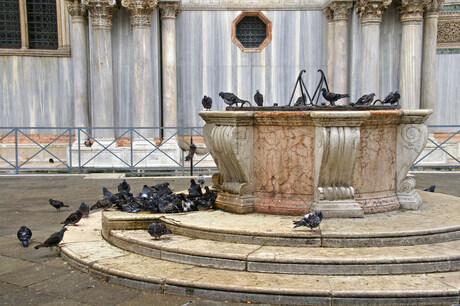 Venice Fountain