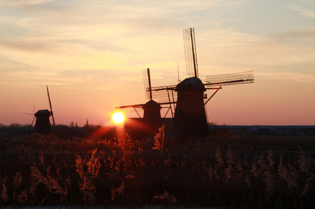 Kinderdijk molens bij zonsondergang