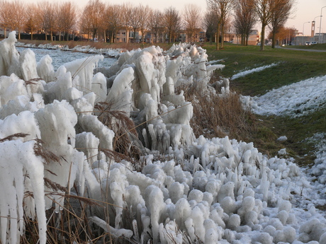 Langs de dijk.