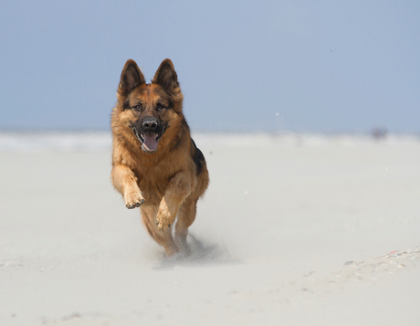 Lekker op het strand