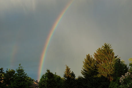 Regenboog foto 1