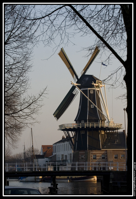Molen Haarlem