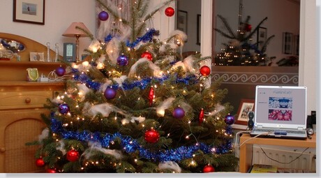 Kerstboom