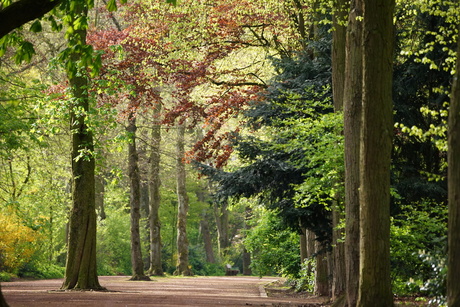 Kruiswegpark Kevelaer