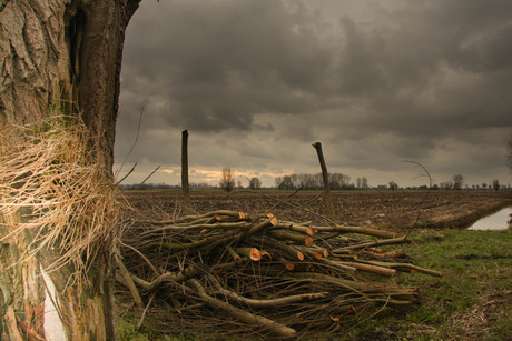 regen op komst, door lopen