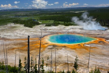 grand prismatic spring in Yellowstone