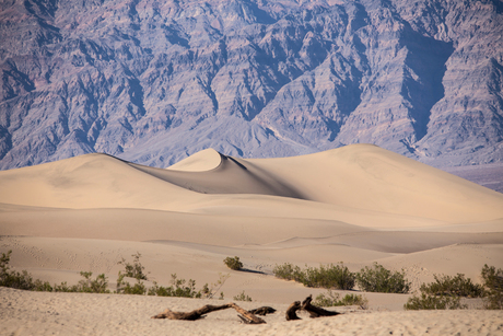 onderweg naar death vally 11 sand dunes.jpg