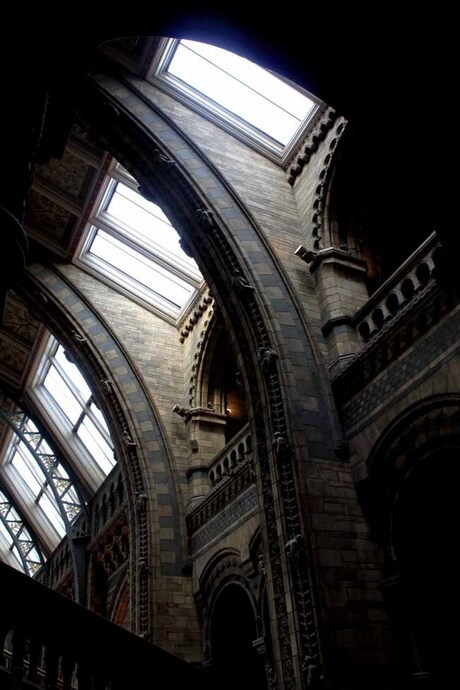 Natural History Museum