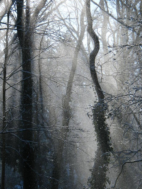 Als sneeuw voor de zon .....